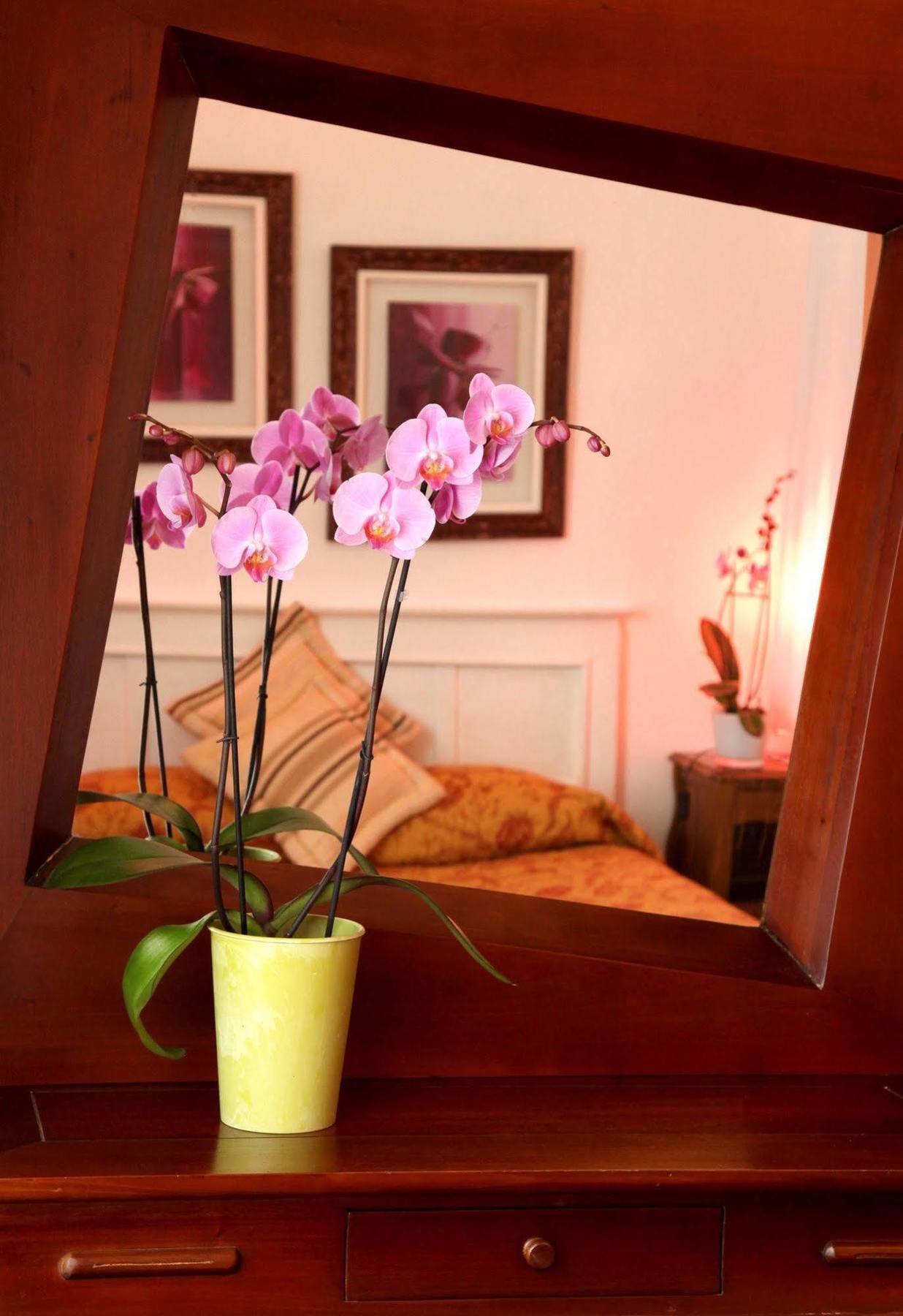 Castel De Siam Hotel อูลกัท ภายนอก รูปภาพ